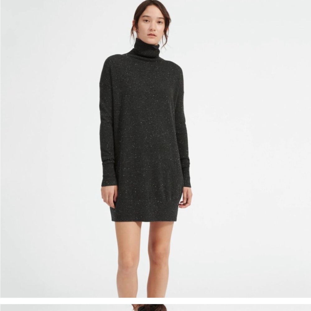 Everlane cashmere sweater dress
